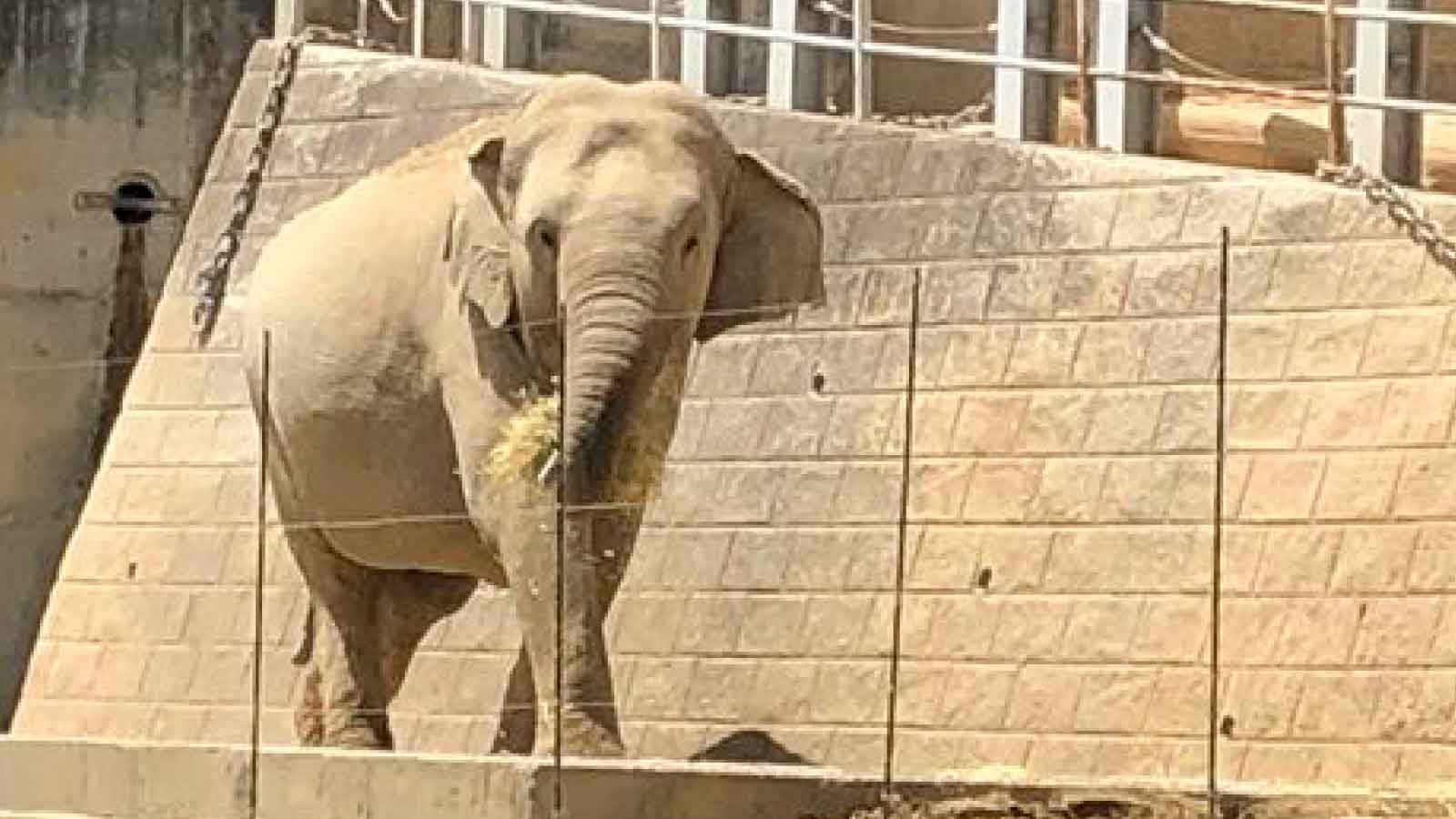 多摩動物公園