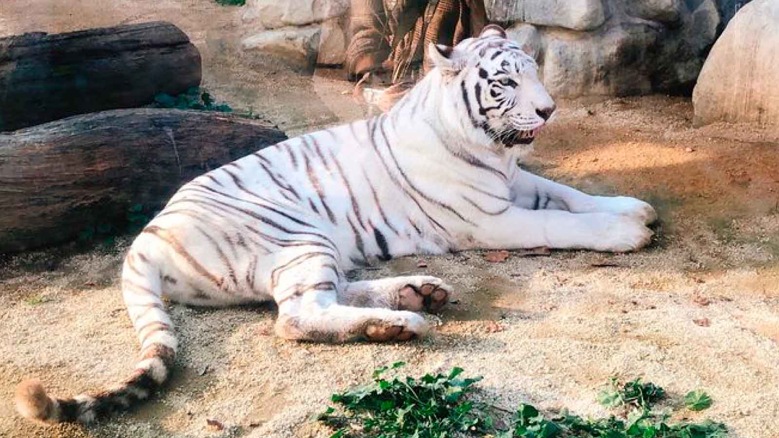 東武動物公園
